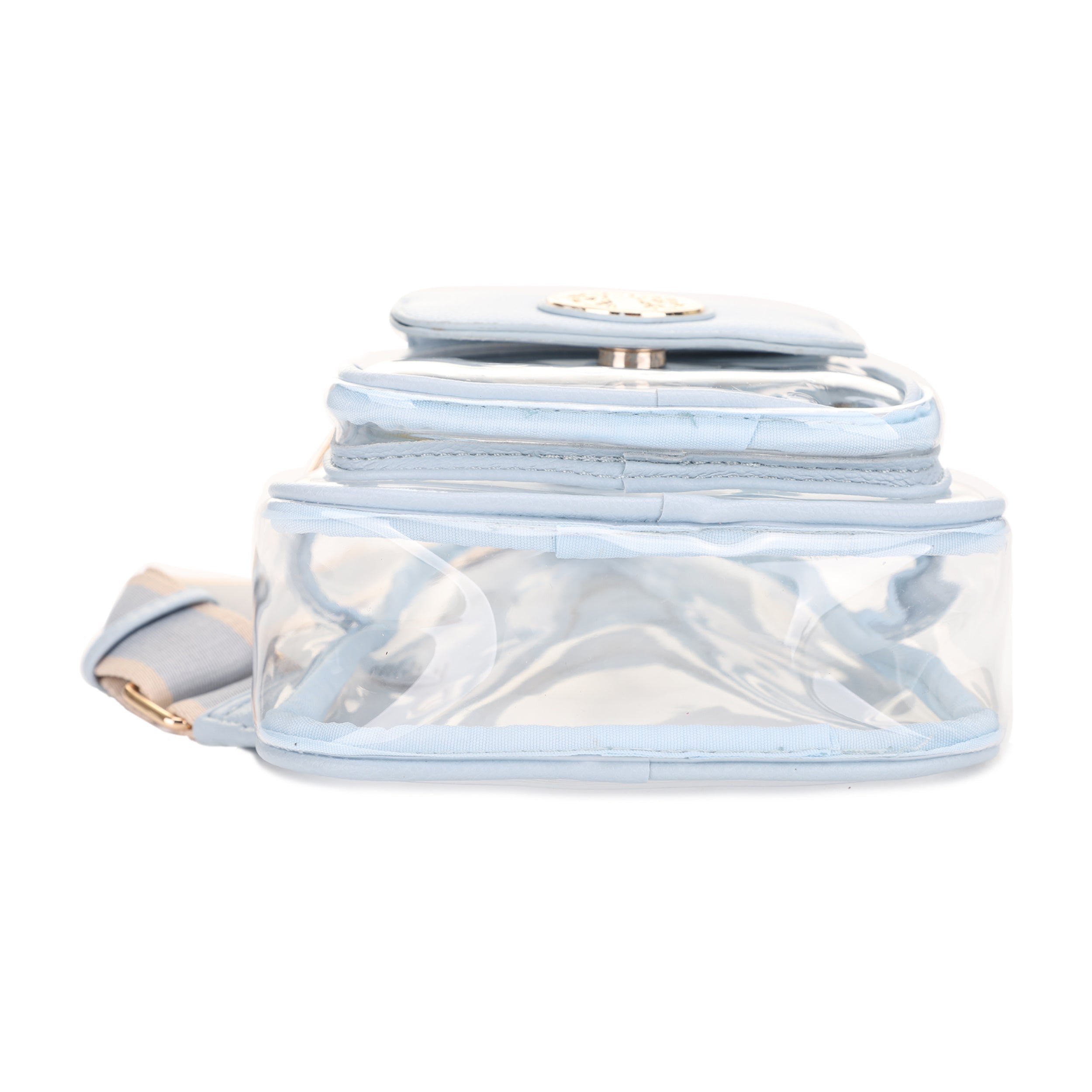 Eva Clear Sling Bag with Medallion Detailing