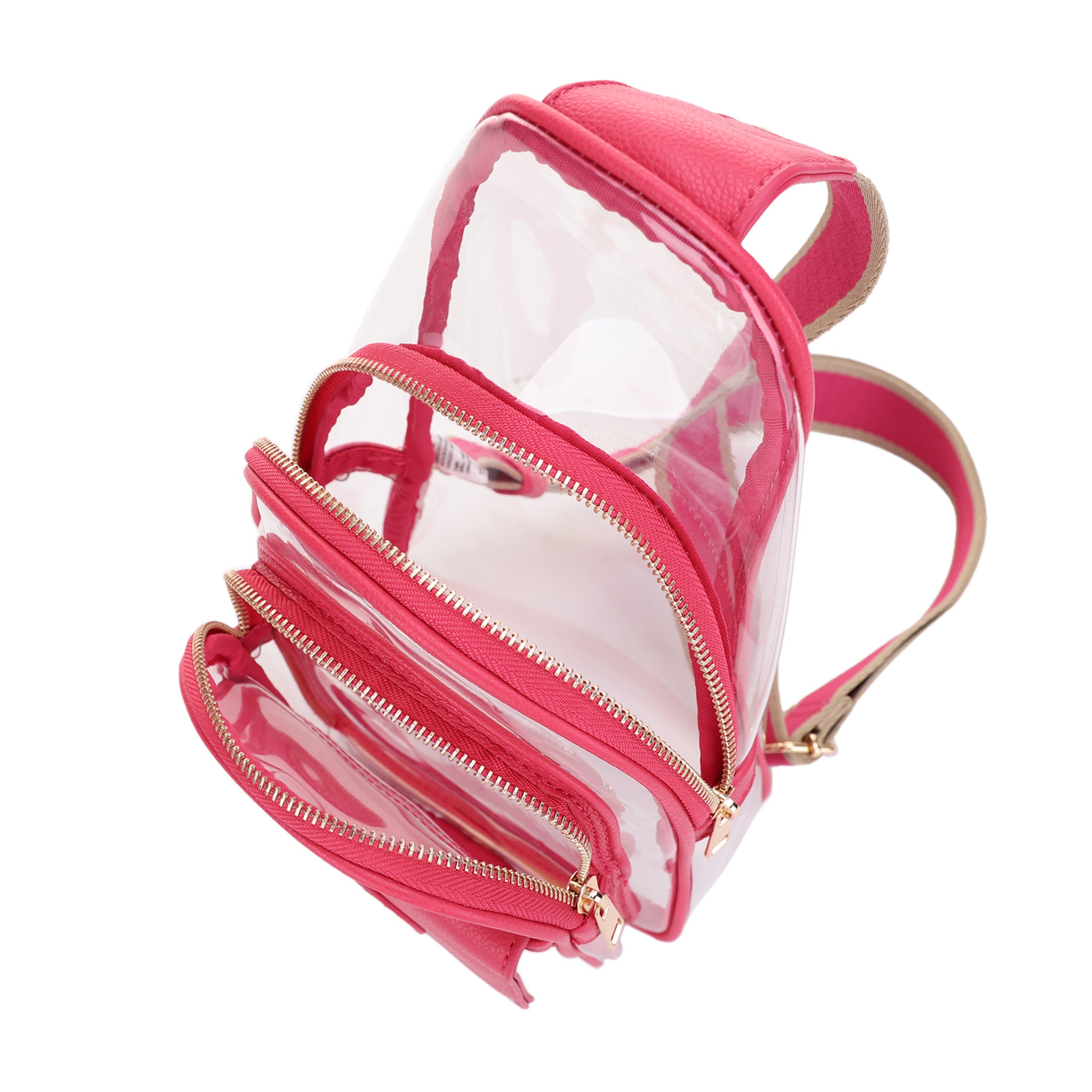 Eva Clear Sling Bag with Medallion Detailing