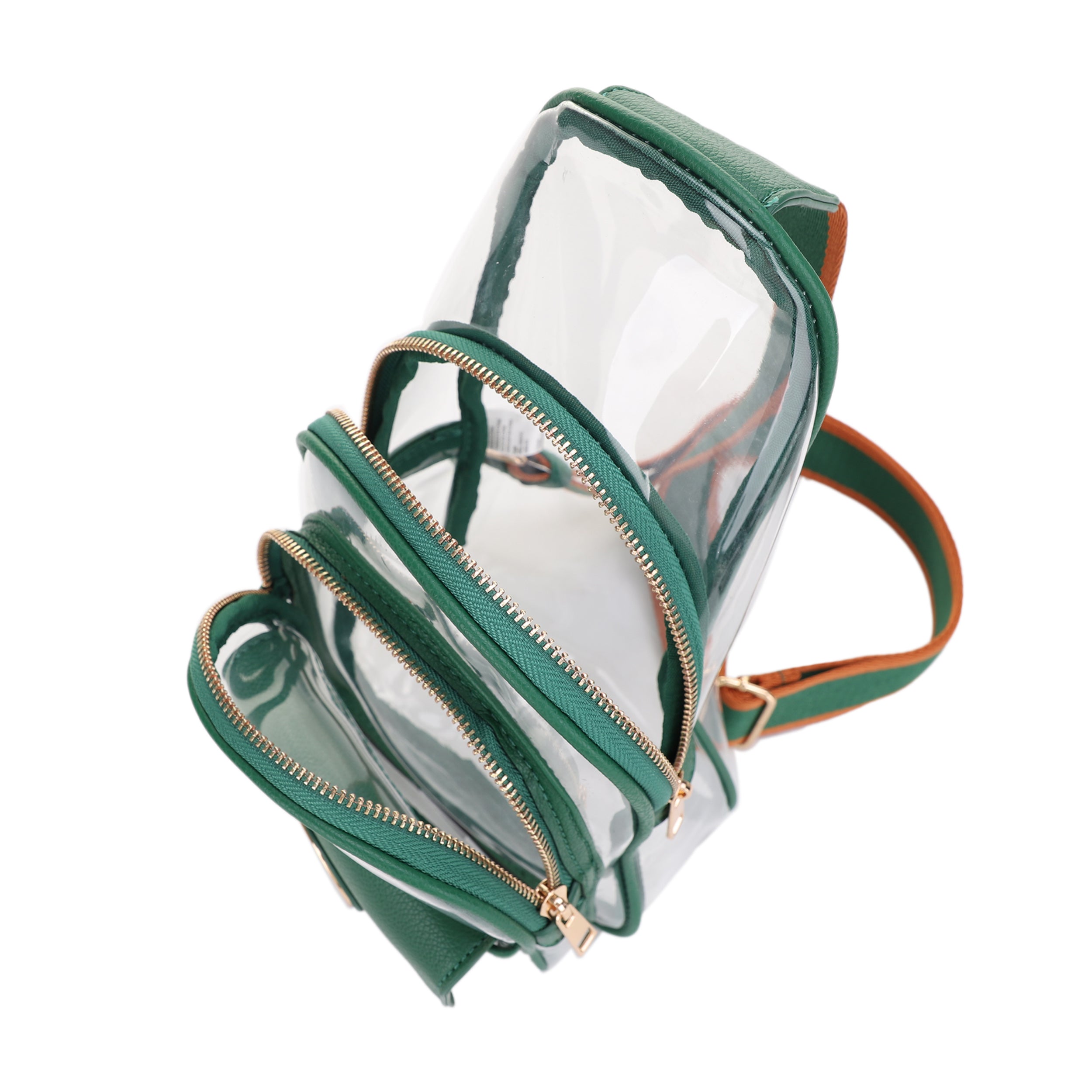 Eva Clear Sling Bag with Medallion Detailing