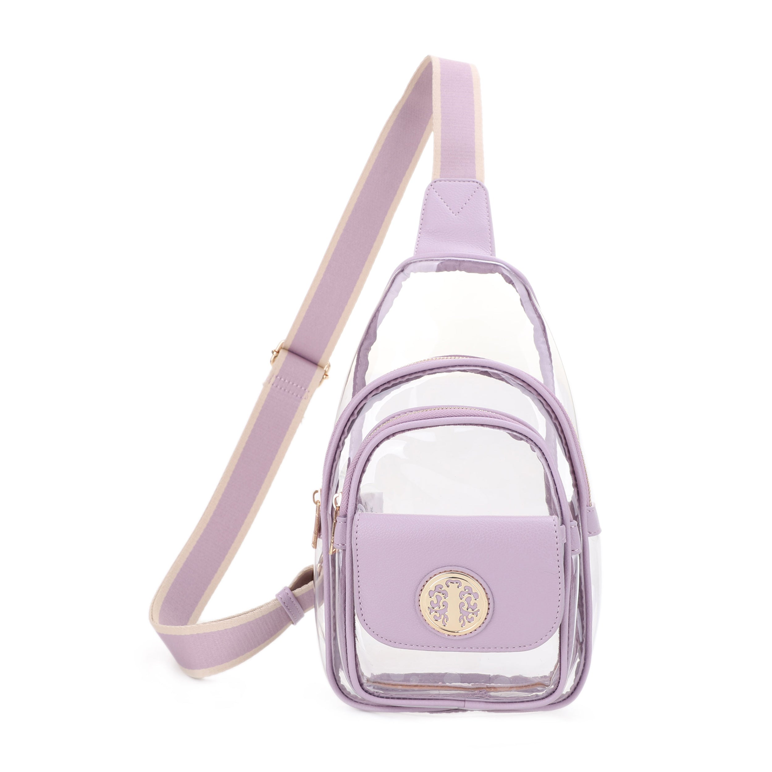 Ellie Double Compartment Clear Sling Bag with Medallion Detailing