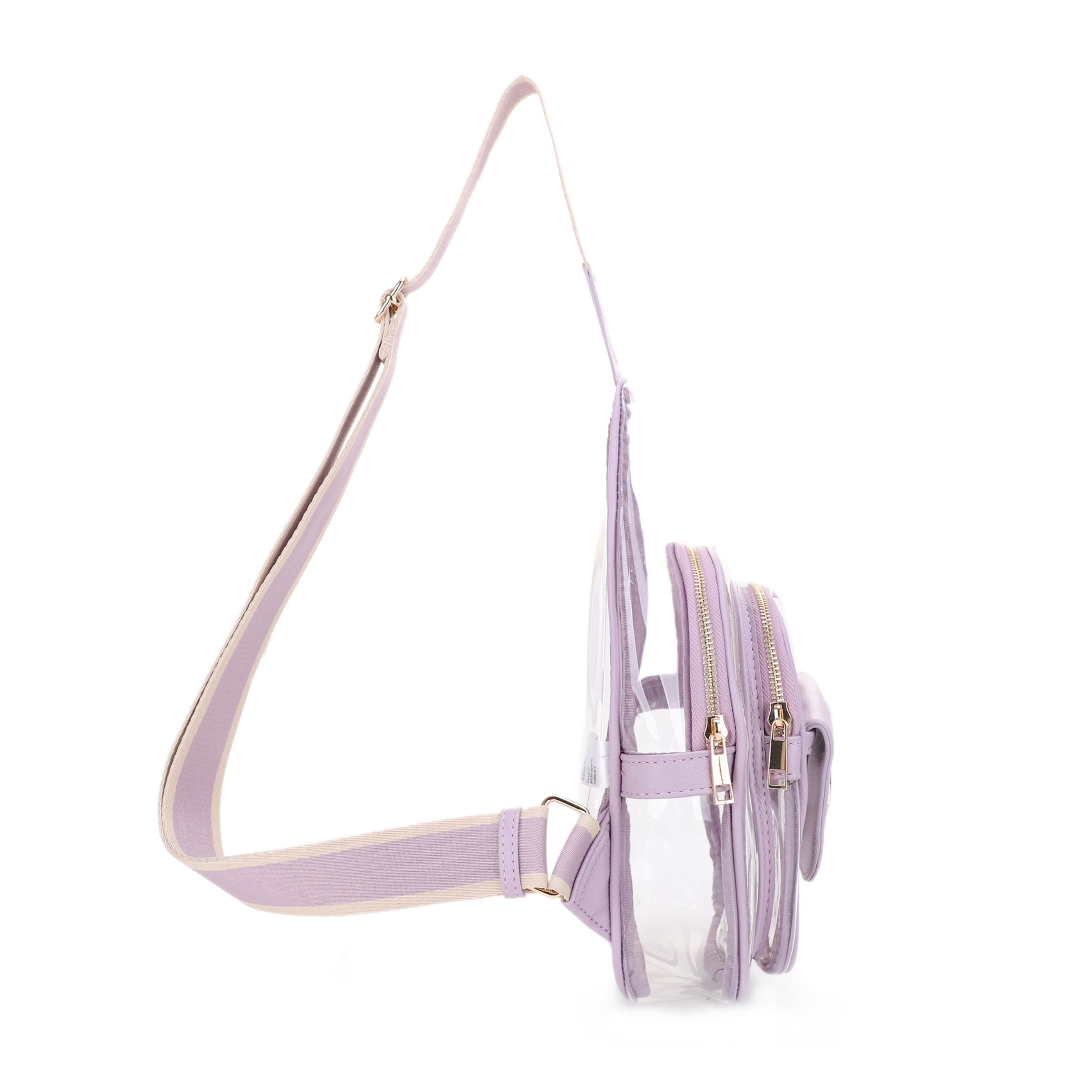Eva Clear Sling Bag with Medallion Detailing