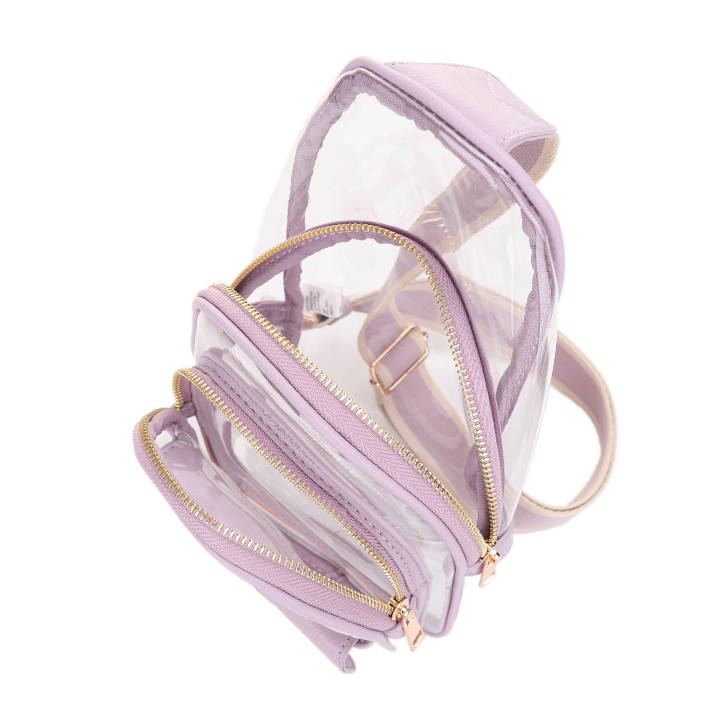 Eva Clear Sling Bag with Medallion Detailing